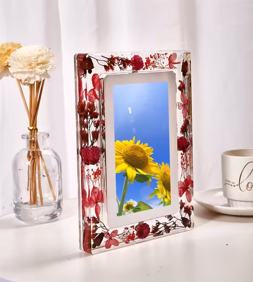 Le dispositif de vision nocturne de portée de vision nocturne infrarouge monoculaire numérique portatif prend des photos